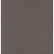 Płytki klinkierowe - Gres techniczny Salti Grey 30X30 Ceramika Paradyż - miniaturka - grafika 1