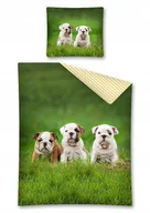 Pościel dla dzieci - pościel młodzieżowa 160x200 Pies Psy Dog Buldog angielski bawełniana - miniaturka - grafika 1