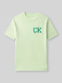 Koszulki dla chłopców - t-shirt o kroju regular fit z czystej bawełny model 'CHEST' - miniaturka - grafika 1