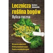 Dom i ogród - Lecznicza roślina bogów. Bylica roczna - miniaturka - grafika 1