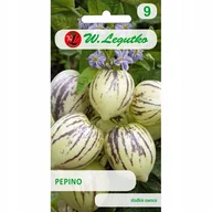 Nasiona i cebule - Nasiona Pepino 0.01g - W.Legutko - miniaturka - grafika 1