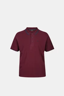 Koszulki sportowe męskie - Regatta T-shirt - Bordowy - Mężczyzna - M (M) - RMT182-R7G - grafika 1
