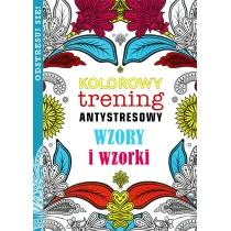 Buchmann GW Foksal Wzory i wzorki Kolorowy trening antystresowy - Buchmann - Poradniki hobbystyczne - miniaturka - grafika 2