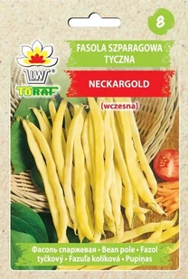 Fasola szp. tyczna, żółtostr. NECKARGOLD Phaseolus vulgaris L. - Nasiona i cebule - miniaturka - grafika 1