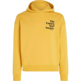 Bluza sportowa damska O'neill FUTURE SURF SOCIETY HOODIE - Bluzy sportowe damskie - miniaturka - grafika 1