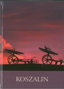 Koszalin - Przewodniki - miniaturka - grafika 1