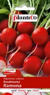 Nasiona i cebule - Plantico Rzodkiewka Ramona - miniaturka - grafika 1