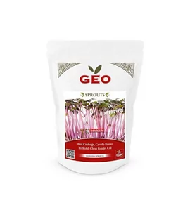 Czerwona kapusta - nasiona na kiełki GEO, certyfikowane, DUŻE OPAKOWANIE, 300g, Bavicchi (VCC0408) - Zdrowa żywność - miniaturka - grafika 1