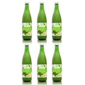 Soki i napoje niegazowane - Bio Food Sok z kapusty kiszonej nfc Zestaw 6 x 500 ml Bio - miniaturka - grafika 1