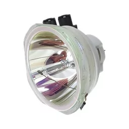 Lampa do PANASONIC PT-DX100ULW (portrait) - zamiennik oryginalnej lampy bez modułu - Lampy do projektorów - miniaturka - grafika 1
