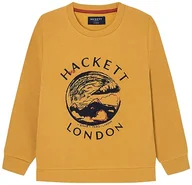 Bluzy dla chłopców - Hackett London Bluza chłopięca z grafiką, Żółty (musztardowy), 3 Lat - miniaturka - grafika 1
