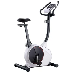vidaXL Rower treningowy magnetyczny 91907 91907 - Rowery treningowe - miniaturka - grafika 1