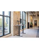 Akcesoria do monitorów - Ergotron LX Monitor Arm with High Column Monitor Mount (Black) - miniaturka - grafika 1