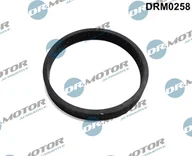 Układ zasilania - akcesoria - Uszczelnienie, wejście do turbiny (doładowanie) Dr.motor Automotive DRM0258 - miniaturka - grafika 1