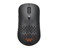 Myszki - Silver Monkey X Vervet - miniaturka - grafika 1