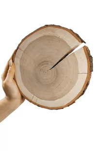 Plaster Czeremchy 20-25 Cm Gr. 3 Cm Szlifowany Z Korą Drewno Czeremchowe Naturalny Surowy / Wamar-Sosenka - Tace i patery - miniaturka - grafika 1