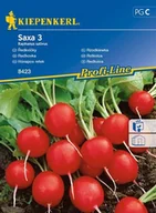 Nasiona i cebule - Kiepenkerl Rzodkiewka Saxa 3 Raphanus sativus var sativus 102368 - miniaturka - grafika 1
