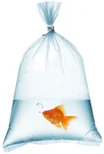 Pozostałe akcesoria do akwarium - Akwarystyczne worki na ryby 25x55cm - 50szt. - miniaturka - grafika 1
