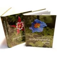 Dom i ogród - Encyklopedia Bylin T.1 - miniaturka - grafika 1