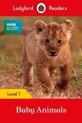 Podręczniki obcojęzyczne - BBC Earth Baby Animals Ladybird Readers Level 1 - miniaturka - grafika 1