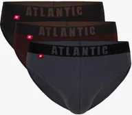 Majtki męskie - Slipy męskie Atlantic sport 3MP-094/02 czekoladowe - miniaturka - grafika 1