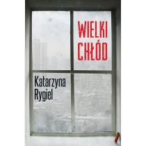 Zysk i S-ka Wielki chłód - Katarzyna Rygiel - Kryminały - miniaturka - grafika 1