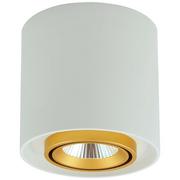 Lampy sufitowe - Polux Oprawa natynkowa LED XENO okrągła 3000K 15W 1200lm biały-złoty 312051 SANICO 312051 - miniaturka - grafika 1