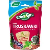 Nawozy ogrodnicze - Nawóz Truskawki 6 miesięcy 300g saszetka Westland - miniaturka - grafika 1