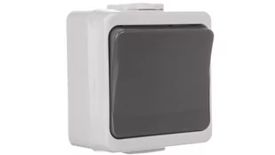 Timex elektro JANTAR-bis Przycisk zwierny /dzwonek/ z podświetleniem n/t IP44 szary WNT-7J-b/S WNT-7J-b/S SZ - Wyłączniki światła i elektryczne - miniaturka - grafika 1