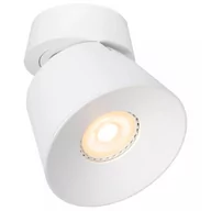 Lampy sufitowe - Biała lampa sufitowa Trigono kierunkowy downlight metalowy - miniaturka - grafika 1