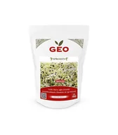 Zdrowa żywność - Czosnek - nasiona na kiełki GEO, certyfikowane, DUŻE OPAKOWANIE, 150g, Bavicchi (ZAG0508) - miniaturka - grafika 1