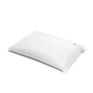Nawozy ogrodnicze - PLANTULE PILLOWS PODUSZKA DO SPANIA Z ŁUSKĄ GRYKI I ORKISZU DLA DOROSŁYCH BIAŁA (45 x 60 cm) - - miniaturka - grafika 1