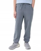 Spodnie damskie - Spodnie dresowe chłopięce sportowe dresy 4F M1186 SZARE r. 140 - miniaturka - grafika 1