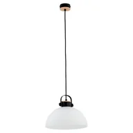 Lampy sufitowe - Alfa Bolo lampa wisząca 1-punktowa 60605 60605 - miniaturka - grafika 1