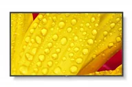 Monitory reklamowe i wyświetlacze - NEC Monitor wielkoformatowy MultiSync M431-2 43 cale UHD 500cd/m2 24/7 - miniaturka - grafika 1