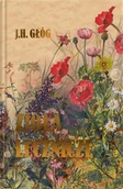 Poradniki hobbystyczne - Zioła lecznicze. Botanika okultystyczna, astrologia herbalna, medycyna hermetyczna - miniaturka - grafika 1