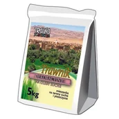 Trawy i trawniki - Trawnik Dekoracyjny Na Gleby Suche 5 kg worek papierowy - miniaturka - grafika 1