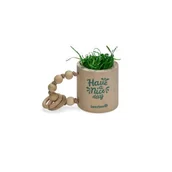 Akcesoria dla gryzoni - Beeztees Spielzeug Have a nice day Gryzonie i inne małe zwierzęta Drewno - miniaturka - grafika 1