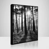 Obrazy i zdjęcia - Obraz 70 x 100 cm SB 020L18,37,001 - miniaturka - grafika 1