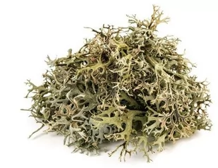 EQUIHERBS Porost islandzki (płucnica islandzka) 0,5 kg - Pasze dla zwierząt - miniaturka - grafika 1
