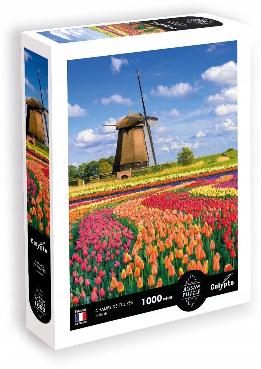 Puzzle 1000 Pola Tulipanów - Holandia Calypto