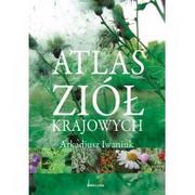 Albumy - przyroda - Atlas ziół krajowych Arkadiusz Iwaniuk - miniaturka - grafika 1