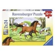 Puzzle - Ravensburger Puzzle Świat koni 2x24 - miniaturka - grafika 1