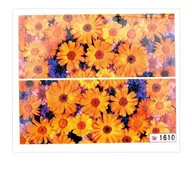 Ozdoby do paznokci - Allepaznokcie Naklejki wodne do paznokci arkusz 6,5 x 5,5 cm na 10 palców Nr 1610 - miniaturka - grafika 1