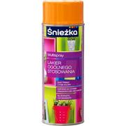 Lakiery do drewna - ŚNIEŻKA Multispray Lakier Ogólnego Stosowania - miniaturka - grafika 1