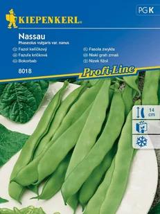 Fasola szparagowa NASSAU karłowa płaska nasiona Kiepenkerl - Nasiona i cebule - miniaturka - grafika 1
