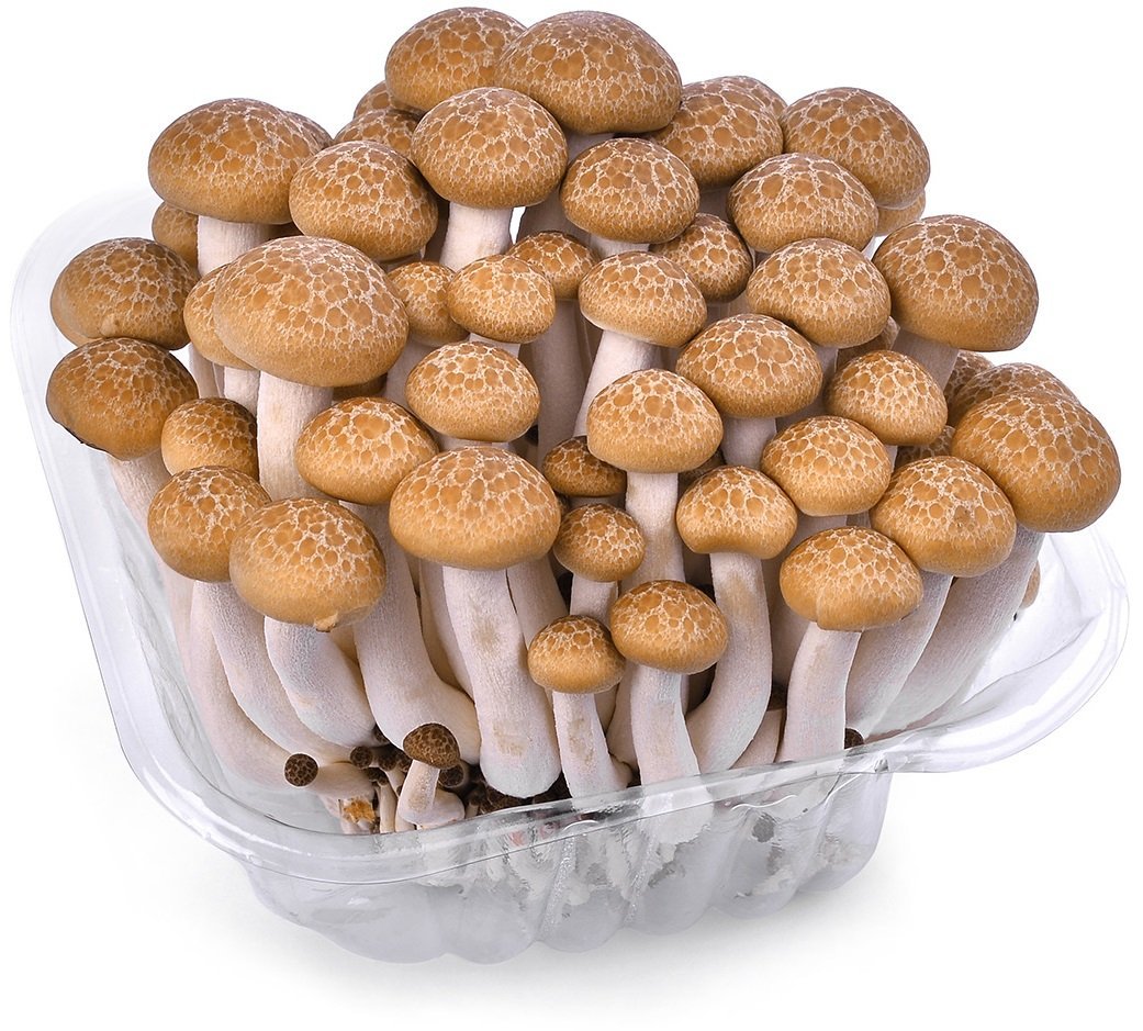 Grzyby Shimeji Białe 150g