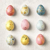 Galaretki - Serwetki papierowe Dr. Egg tissue 33 x 33 cm 20 sztuk - miniaturka - grafika 1