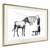 Plakaty - Plakat - Banksy: Washing Zebra Stripes (rozmiar 90x60, wykończenie Rama złota z passe-partout) - miniaturka - grafika 1