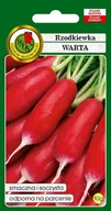 Nasiona i cebule - Rzodkiewka Warta 10 g PNOS - miniaturka - grafika 1